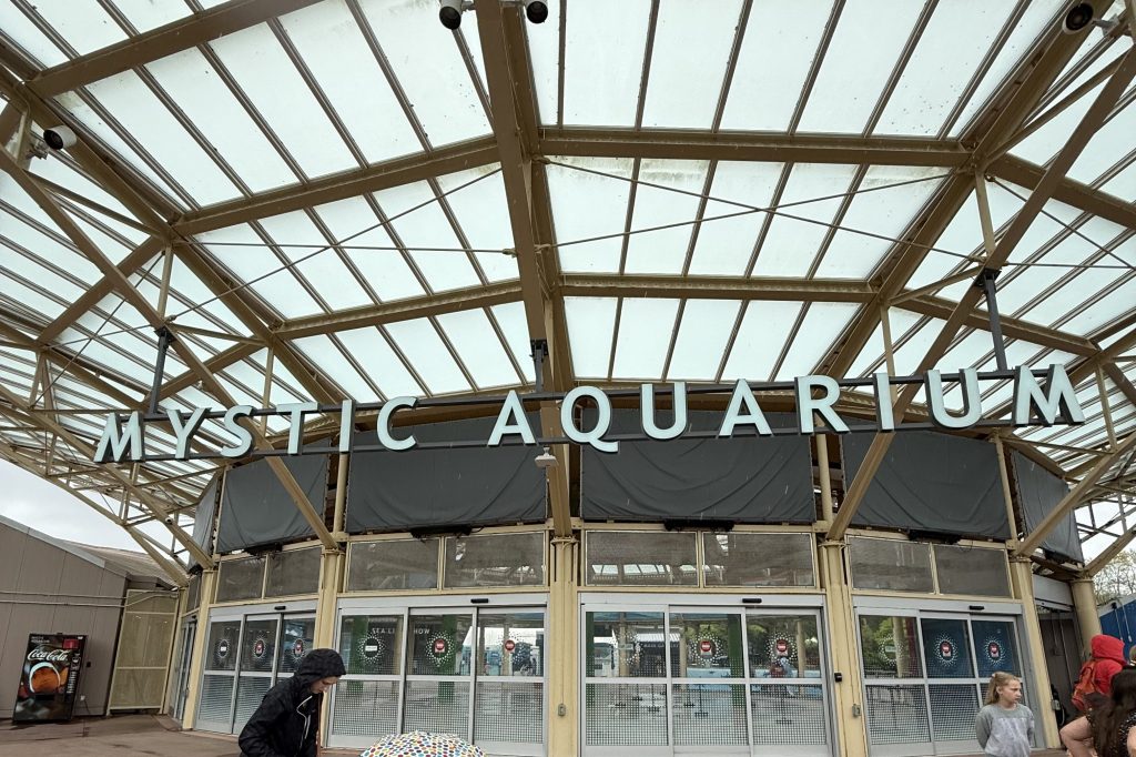 Rain, Rays, and Really Cool Creatures: Our Visit to Mystic&nbsp;Aquarium